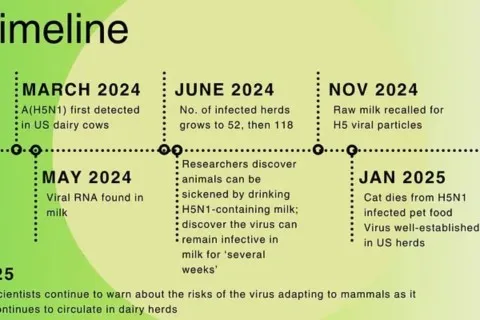 Tidslinje Fågelinfluensa
