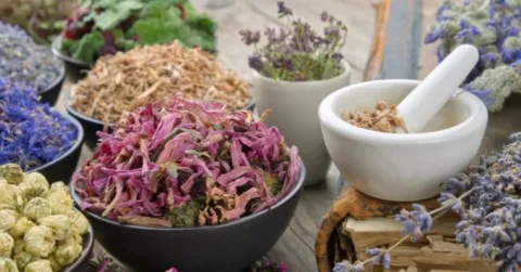 botaniska produkter